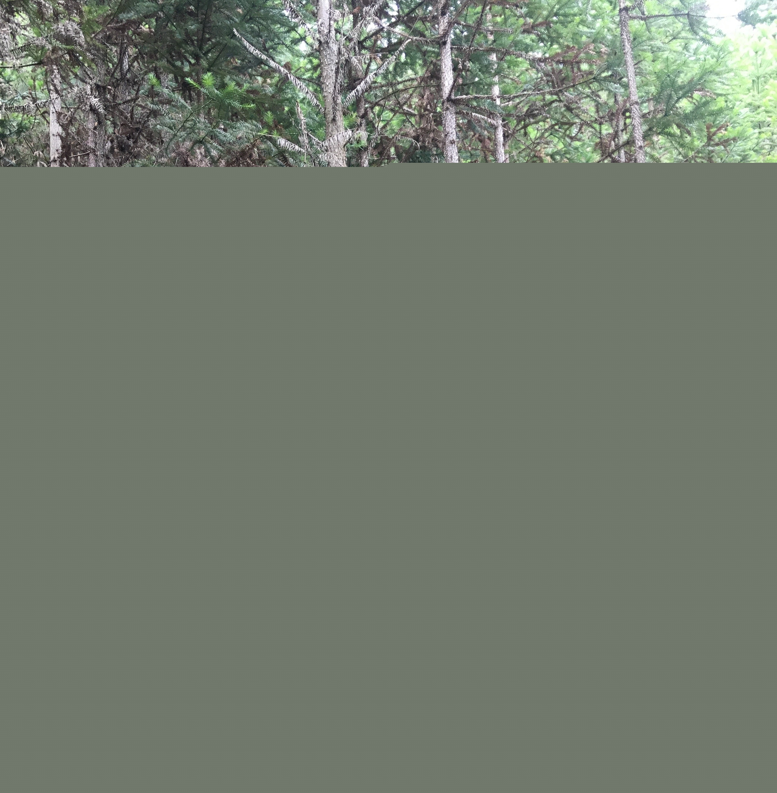 支部結(jié)對(duì)共建 促進(jìn)黨建業(yè)務(wù)“雙提升” 支部結(jié)對(duì)共建 促進(jìn)黨建業(yè)務(wù)“雙提升”