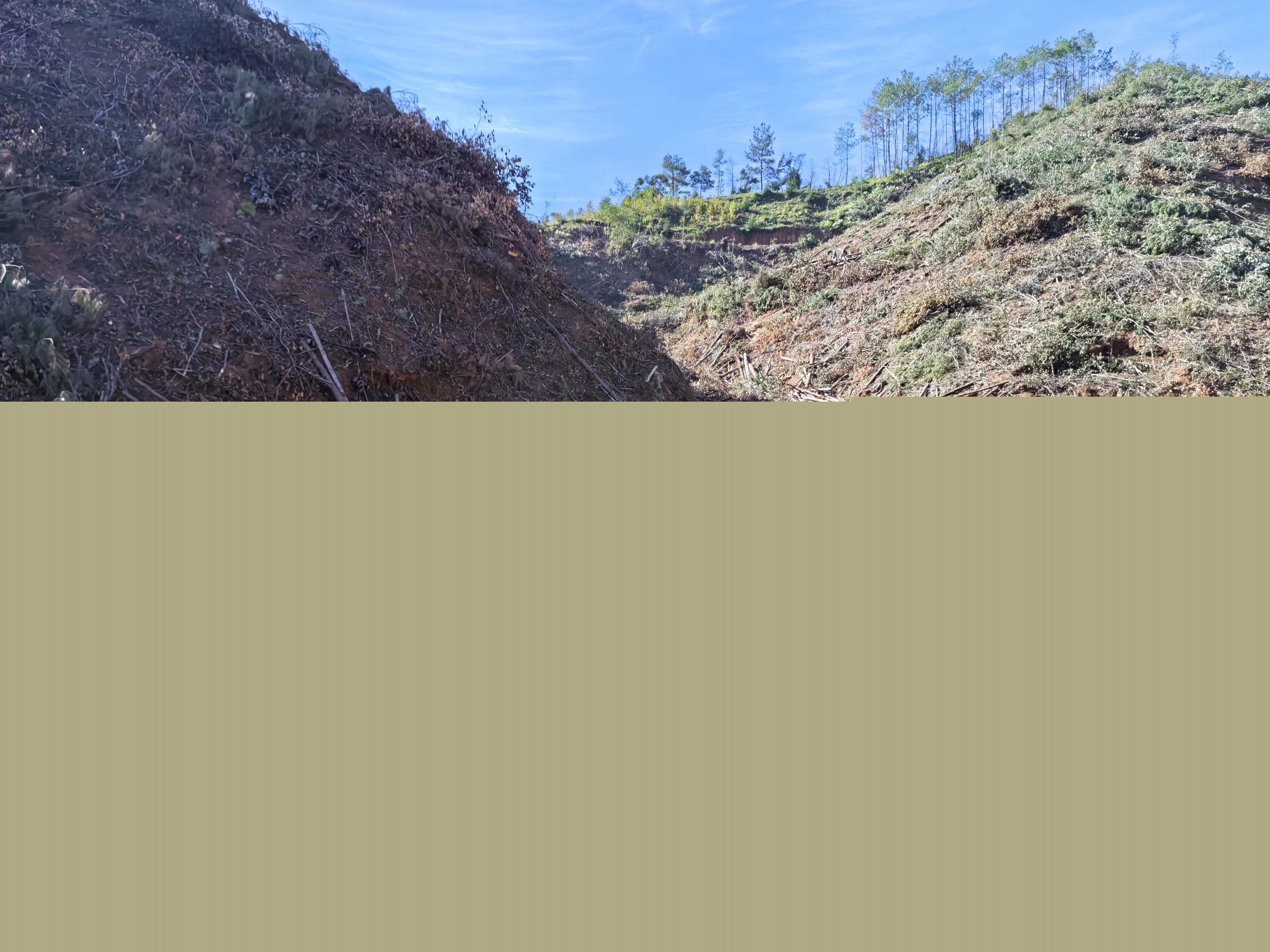 平安常青，我們?cè)谛袆?dòng)——常青分公司開(kāi)展安全生產(chǎn)日活動(dòng)